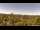 Webcam in Altenau (Harz), 29.7 km entfernt