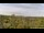 Webcam in Altenau (Harz), 5.8 mi away