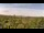Webcam in Altenau (Harz), 18.3 km