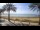 Webcam in Playa de Palma (Majorca), 0.2 mi away