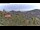 Webcam in Dolcedo, 6.8 km entfernt