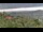 Webcam in Dolcedo, 3.3 mi away
