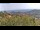 Webcam in Dolcedo, 6.6 km entfernt