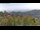 Webcam in Dolcedo, 10.5 km