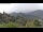 Webcam in Dolcedo, 6.6 km