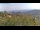 Webcam in Dolcedo, 12 km