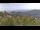 Webcam in Dolcedo, 12 km