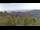 Webcam in Dolcedo, 12 km