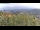 Webcam in Dolcedo, 8.5 km
