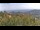 Webcam in Dolcedo, 10.5 km