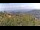 Webcam in Dolcedo, 9.9 km entfernt