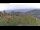 Webcam in Dolcedo, 6.8 km