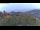 Webcam in Dolcedo, 6.6 km