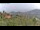 Webcam in Dolcedo, 9.9 km