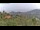 Webcam in Dolcedo, 6.8 km