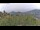 Webcam in Dolcedo, 8.5 km entfernt