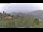 Webcam in Dolcedo, 3.7 mi away