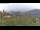 Webcam in Dolcedo, 10.4 km