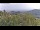 Webcam in Dolcedo, 3.3 mi away