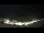 Webcam in Kühtai, 0.2 km
