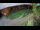 Webcam in Maribor, 0.3 km entfernt