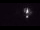 Webcam in Cuxhaven, 0.9 mi away