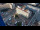 Webcam in Berlino, 0.1 km