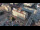 Webcam in Berlin, 0.1 km