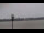 Webcam in Damme, 47.2 km