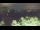 Webcam in Bad Pyrmont, 19.5 km entfernt