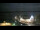 Webcam in Ribnitz-Damgarten, 12.6 km