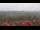 Webcam in Schierke, 11.6 mi away