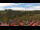 Webcam in Schierke, 11.6 mi away