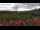 Webcam in Schierke, 11.6 mi away
