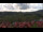 Webcam in Schierke, 13.8 km
