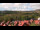 Webcam in Schierke, 11.3 km