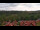 Webcam in Schierke, 12 km