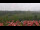 Webcam in Schierke, 18.6 km