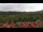 Webcam in Schierke, 5.7 km