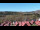 Webcam in Schierke, 5.7 km