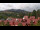 Webcam in Schierke, 0.2 mi away