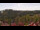 Webcam in Schierke, 5.8 km