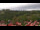 Webcam in Schierke, 5.7 mi away
