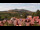 Webcam in Schierke, 11.3 km