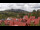 Webcam in Schierke, 5.3 mi away