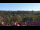 Webcam in Schierke, 11.6 mi away