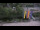 Webcam in Bad Wildbad, 0.5 mi away