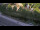Webcam in Bad Wildbad, 13.9 mi away