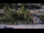 Webcam in Bad Wildbad, 9.9 mi away