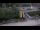 Webcam in Bad Wildbad, 9.3 mi away